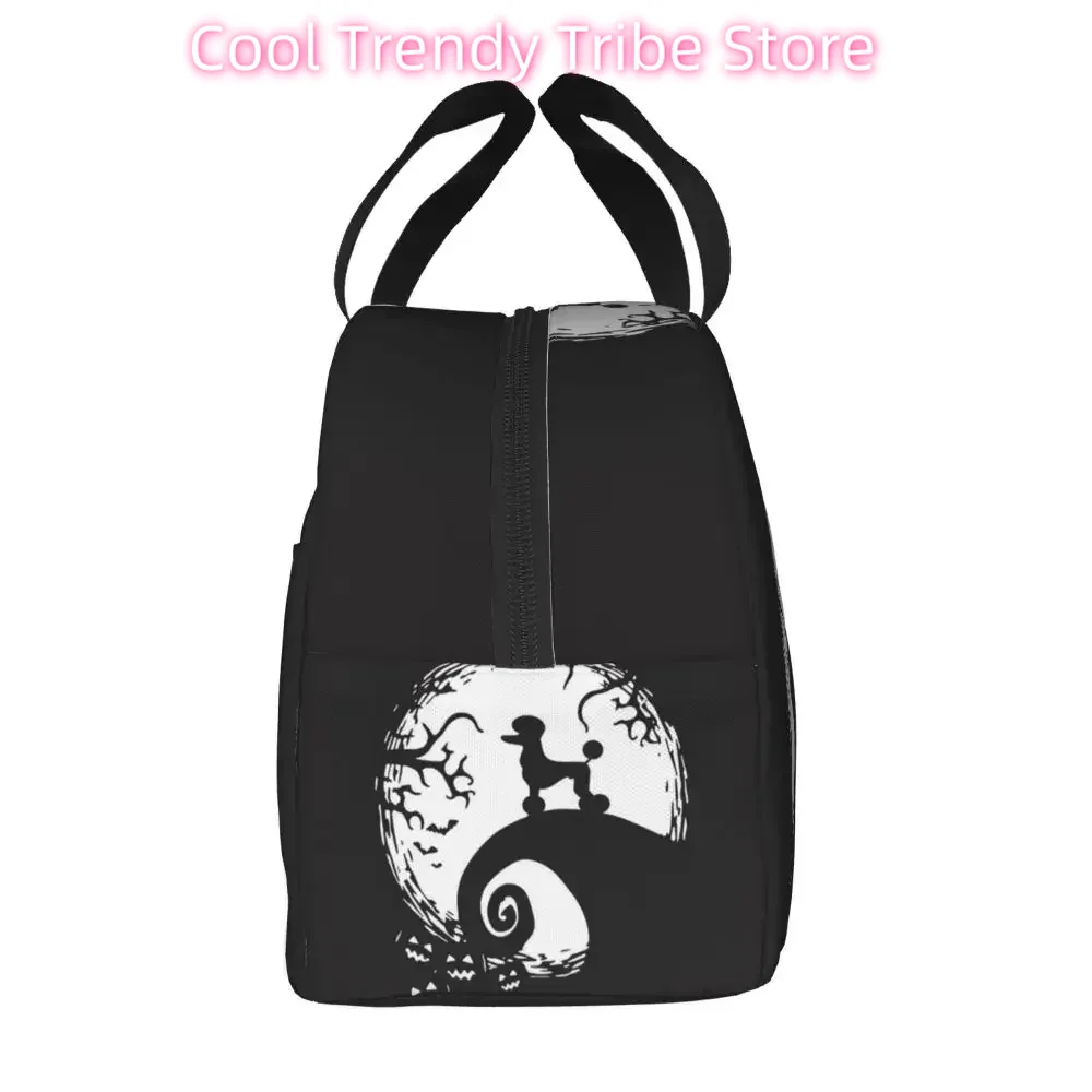فرنسا القياسية القلطي معزول حق - مراجعة Women'S Best Bags For Work وسعره